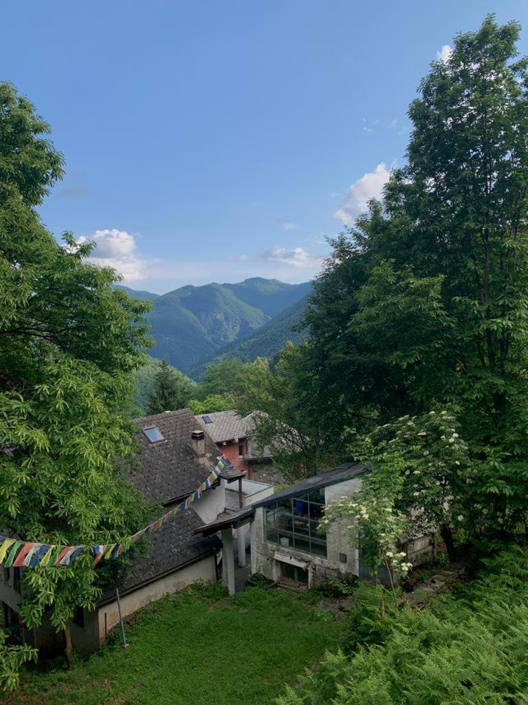 Secret Mountain Retreat Valle Cannobina Orasso Dış mekan fotoğraf