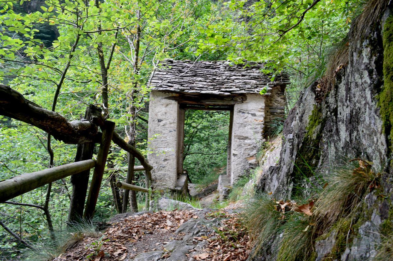 Secret Mountain Retreat Valle Cannobina Orasso Dış mekan fotoğraf