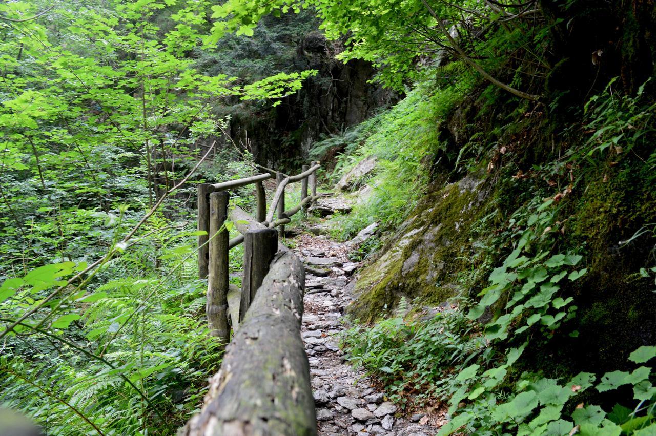 Secret Mountain Retreat Valle Cannobina Orasso Dış mekan fotoğraf