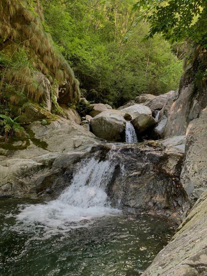 Secret Mountain Retreat Valle Cannobina Orasso Dış mekan fotoğraf